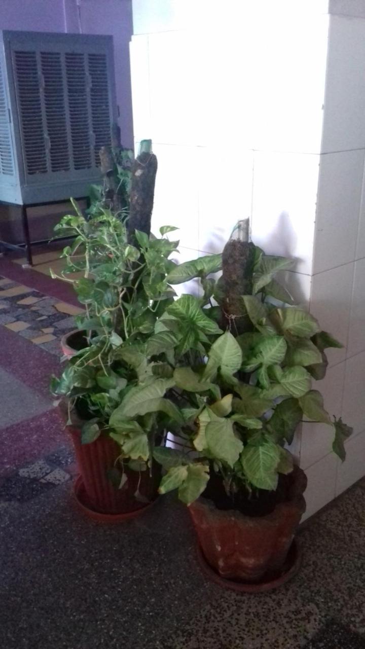Arun Hotel Dzsódhpur Kültér fotó