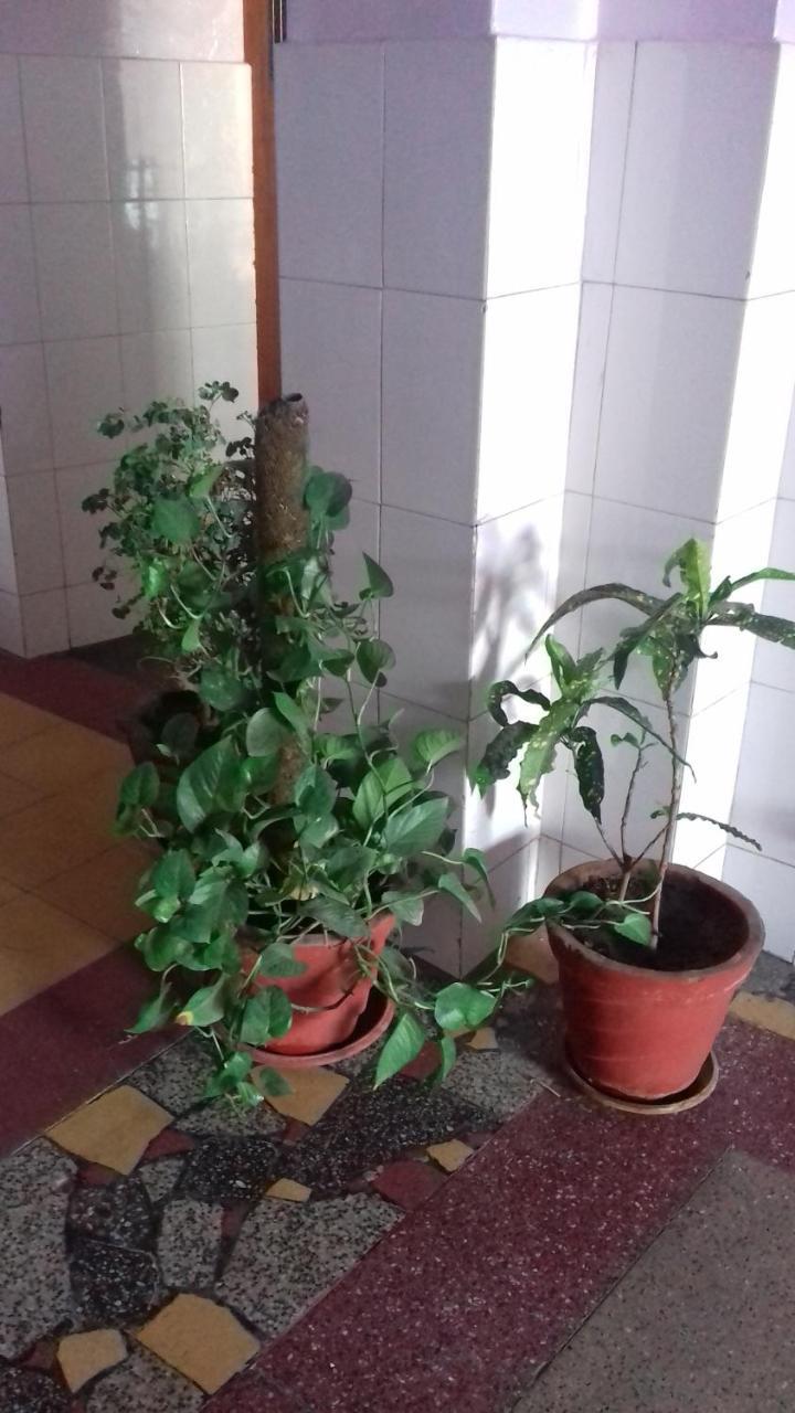 Arun Hotel Dzsódhpur Kültér fotó